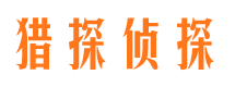 龙凤市私家侦探